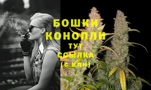 ALPHA PVP Бикин