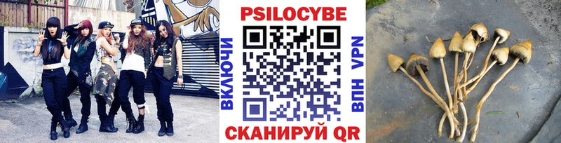 kraken ССЫЛКА  Канаш  Галлюциногенные грибы мухоморы 