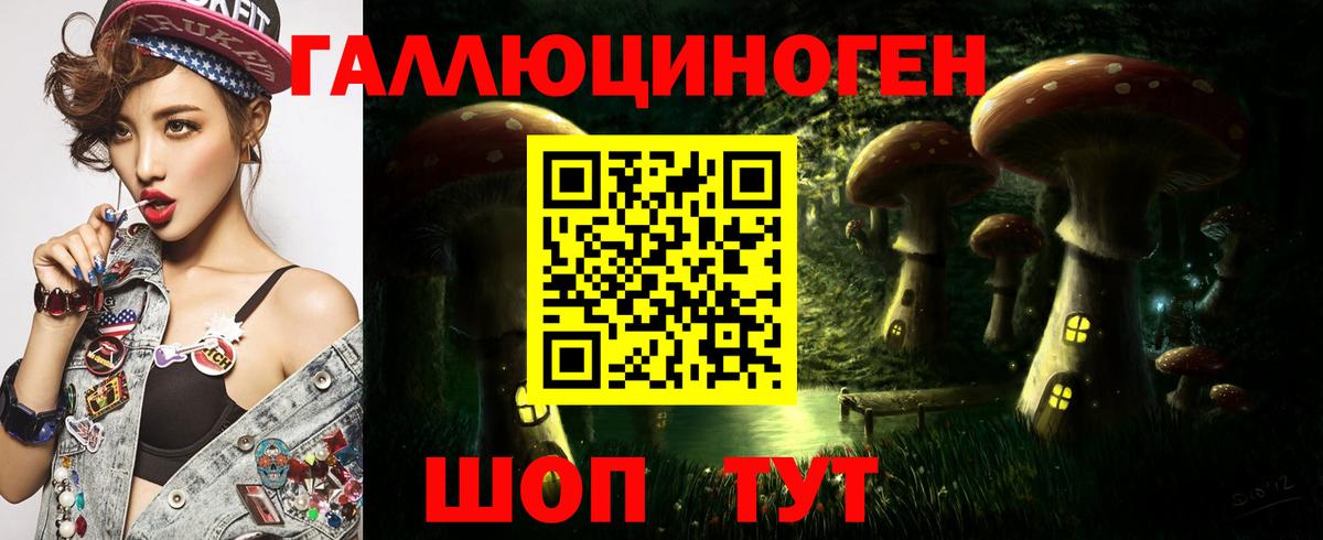 Канаш  Псилоцибиновые грибы Magic Shrooms  Псилоцибиновые грибы ЛСД  как найти   Вход с VPN 